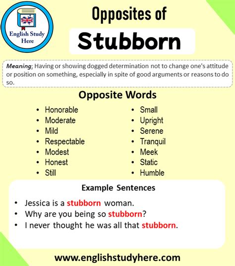 Find 7 different ways to say STUBBORNLY, along with antonyms, related words, and example sentences at Thesaurus.com. 